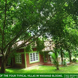 Wayanad Blooms Kaniyambetta